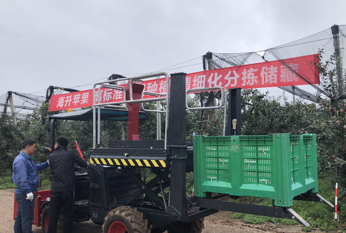 什么是果园采摘平台 什么是果园采摘平台