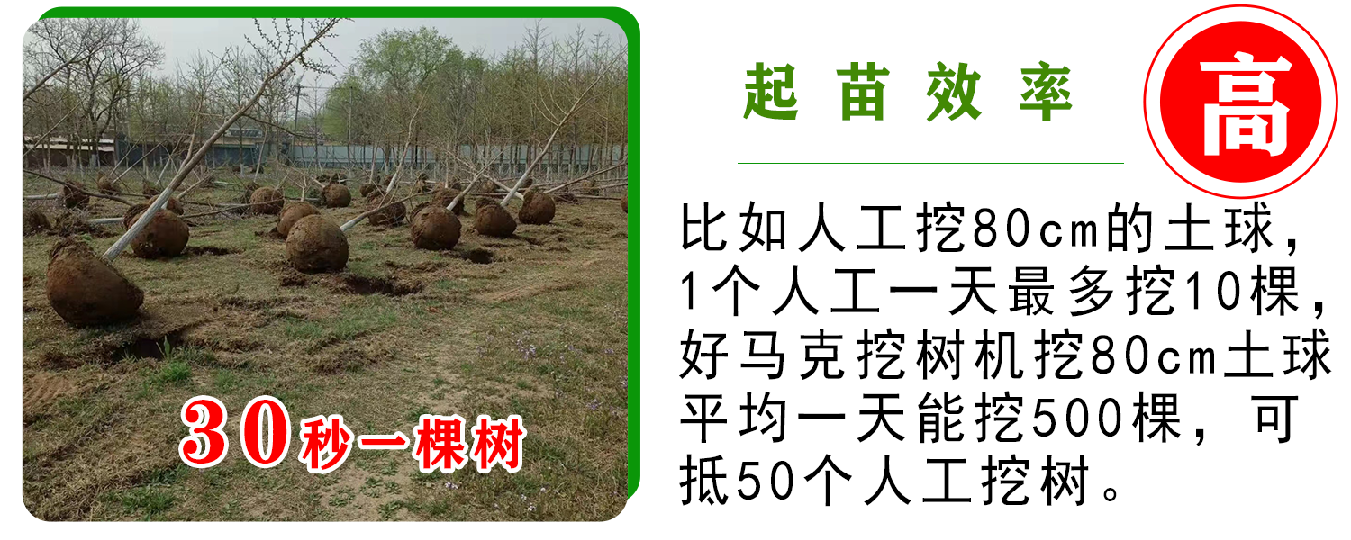 1702270130168012.png 效率高 .png