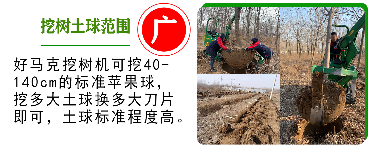 1702270206761969.png 范围广 1.png
