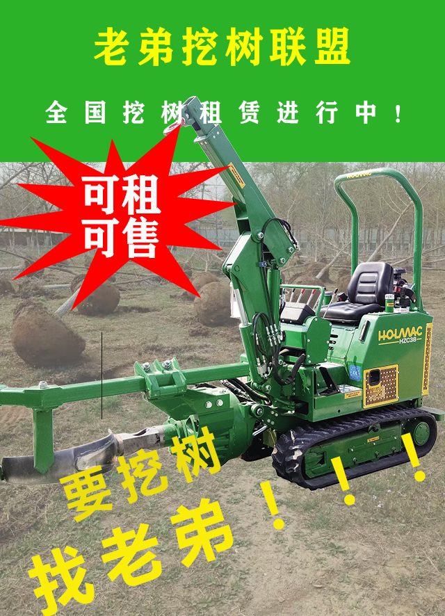 1702270391171862.png 挖树机2.png