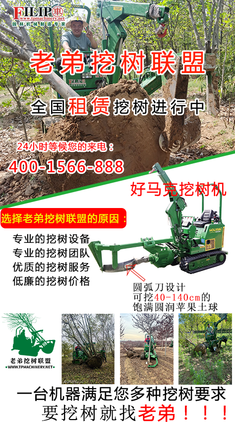 1727501407179496.png 宣传图1 .png
