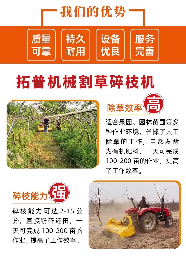 d175a5d3228e5a24570bb72a1a3f48f.jpg